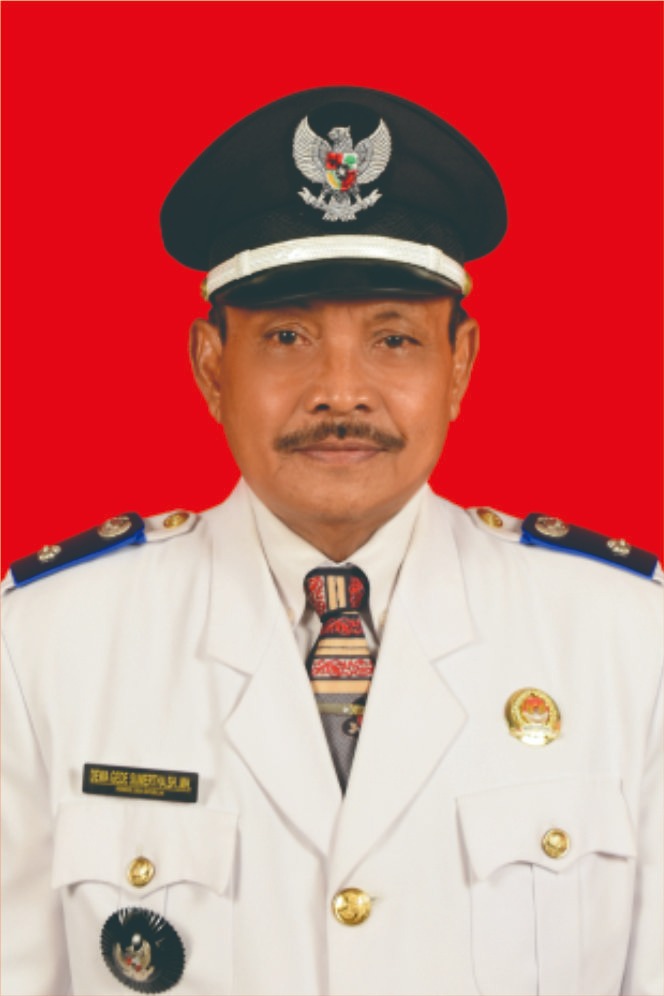 Dewa Gede Sumertha, S.H., M.H.